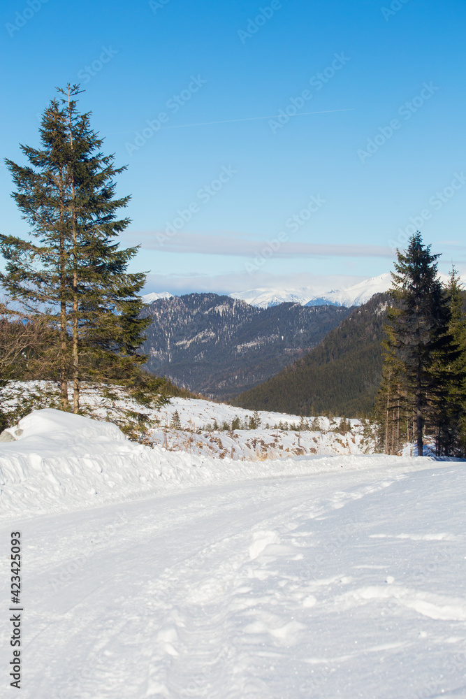 Winter mountain landscape in Jasna, Slovakia