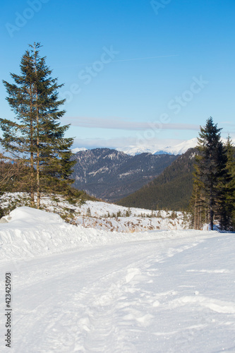 Winter mountain landscape in Jasna, Slovakia © aniad