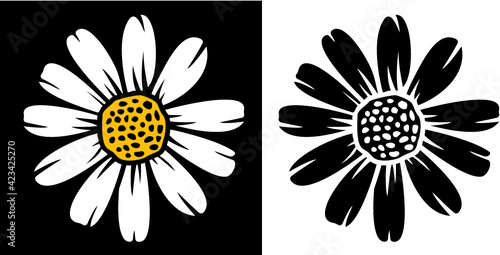 Vector illustration of daisy flower photo