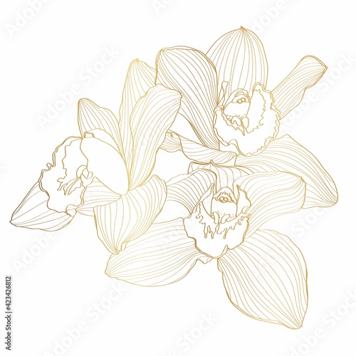 Golden Line Orchid Cymbidium Flower. Flora and Isolated Botany Plant with Petals. Tropical exotic line flower illustration.