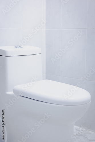 Simple flush in a white bathroom