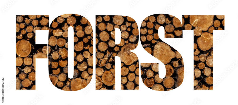Fototapeta premium Forst Text mit Holzmuster