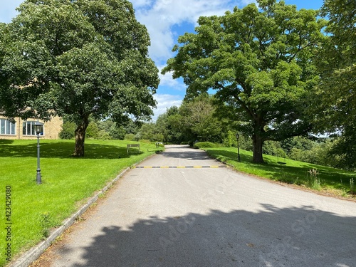 Wallpaper Mural Looking along a road, leading past, Hollins Hall, with old trees, and grass lawns, on a hot summers day in, Bradford, Yorkshire, UK Torontodigital.ca