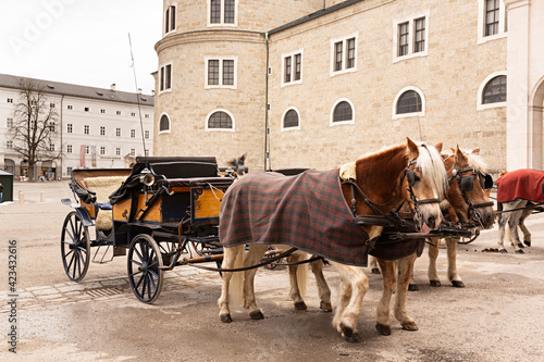 Carreta con caballos en Estraburgo, Austria.