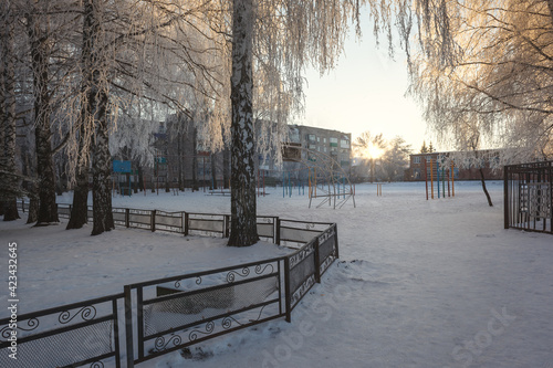winter in the park