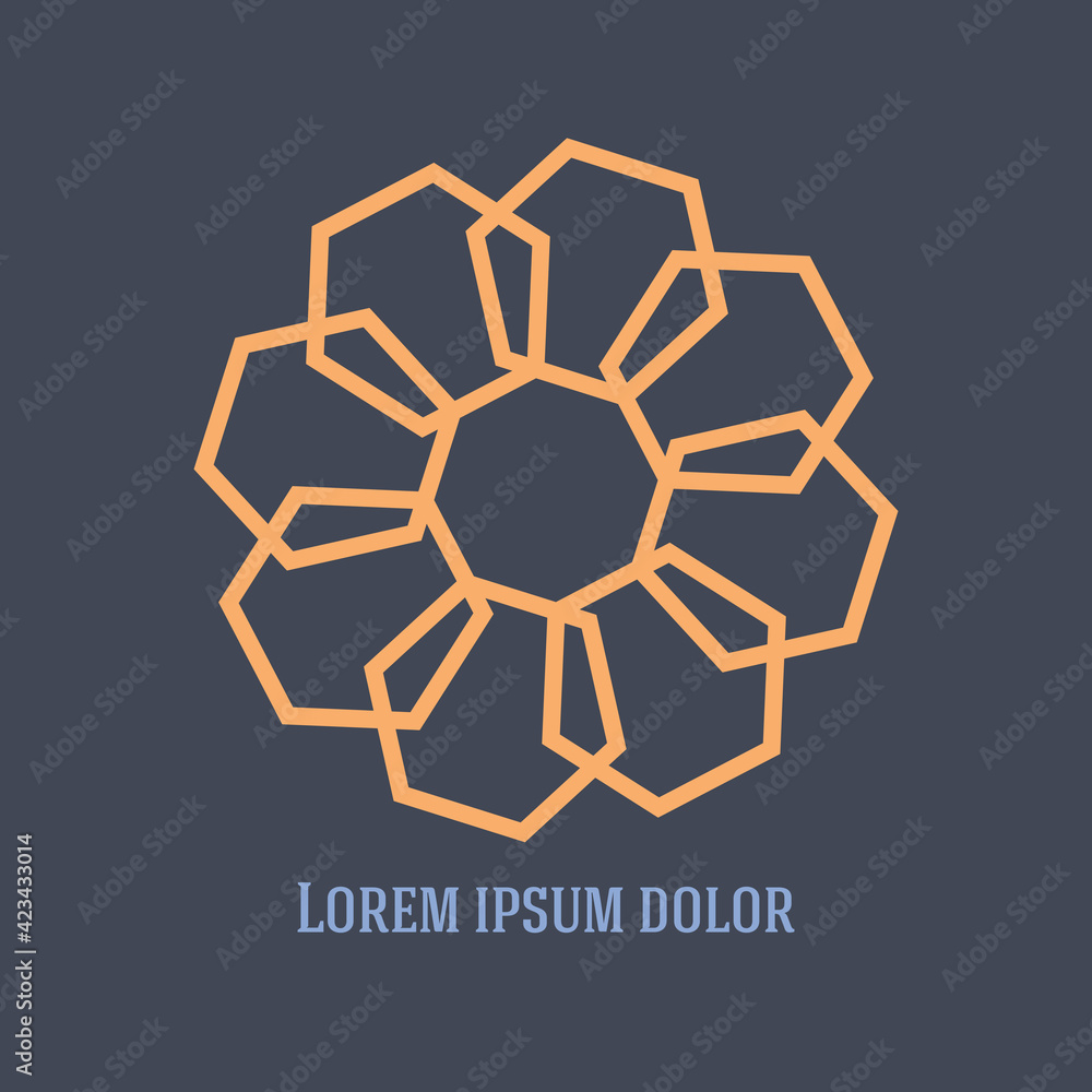 Circular Wireframe polygonal logo element. Vector Illustration EPS10 digital background posters Universal creative premium logotype. Abstract line vector sign. Design pattern for promotion, business Circular Wireframe polygonal logo element. Vector Illustration EPS10 digital background posters Universal creative premium logotype. Abstract line vector sign. Design pattern for promotion, business