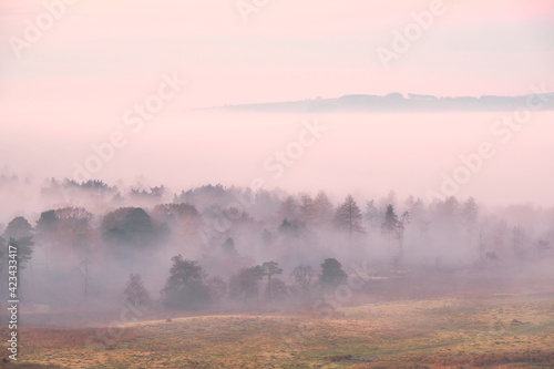 Tableau sur toile Eyam Moor visible above a cloud inversion and early morning mist in trees, Longs