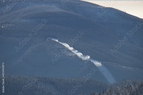 The power of winter preparation.