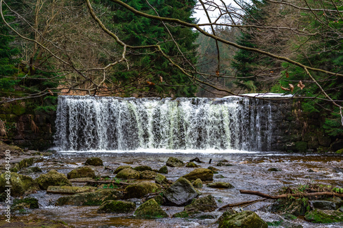 Cascade falls over mossy rocks