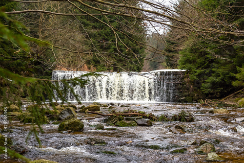 Cascade falls over mossy rocks