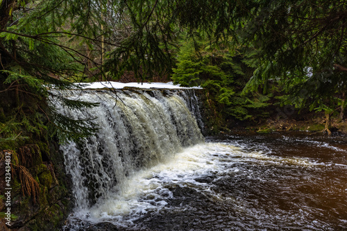Cascade falls over mossy rocks