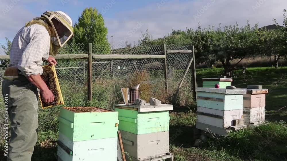 Beekeeper Apiary Honey Agricultural Occupation Beekeeper Apiary Honey Agricultural Occupation