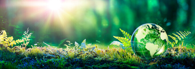 Environment Concept - Globe Glass In Green Forest With Sunlight