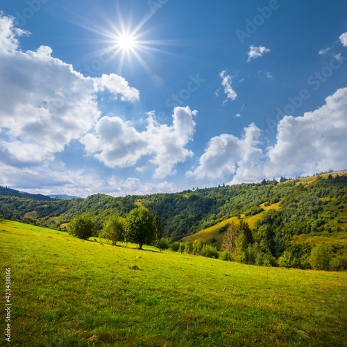 green mountain valley at the summer sunny day