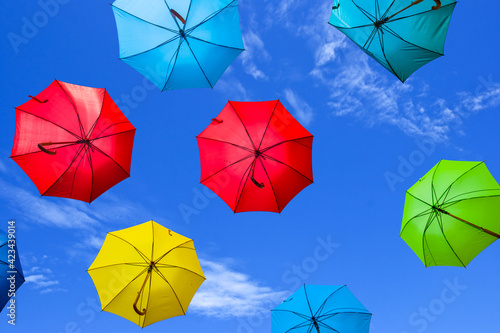 varicoloured umbrella fly on a blue sky background
