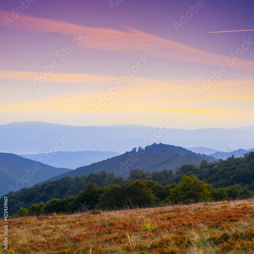 Fototapeta Naklejka Na Ścianę i Meble -  misty mountain valley at the twilight