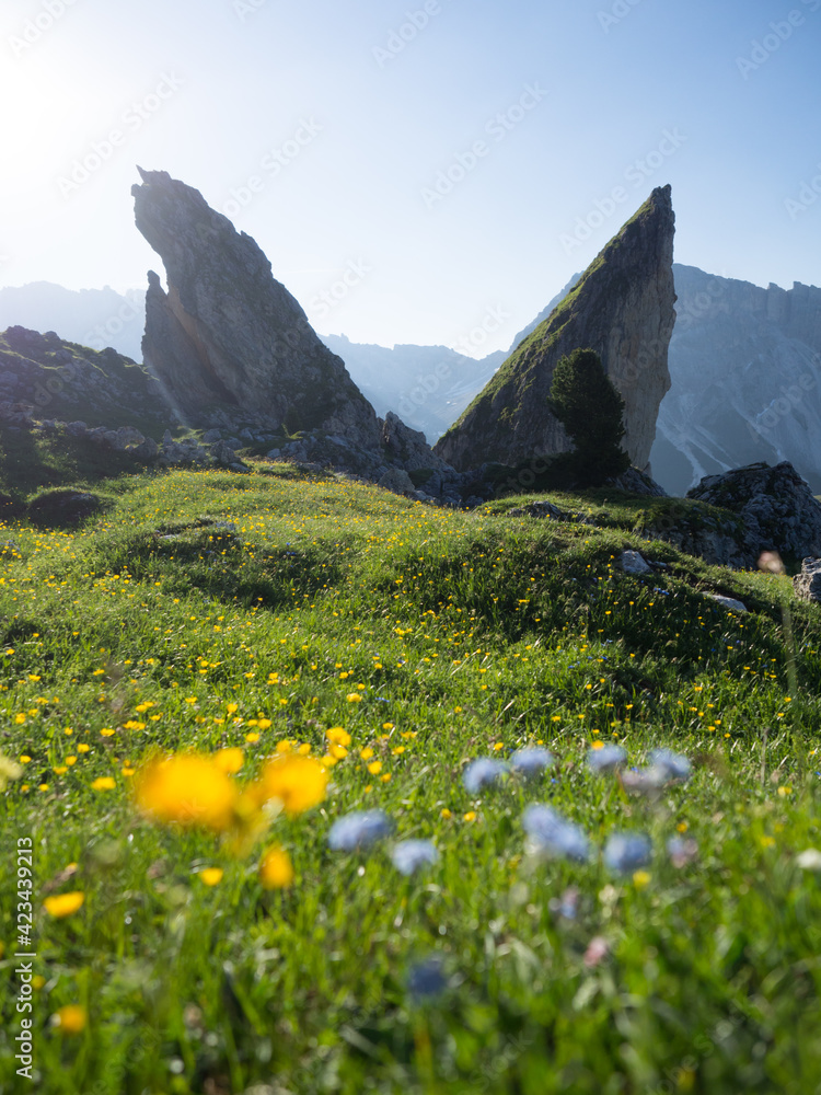 Wandern bei der Seceda in Suedtirol Italien - Seceda in the Dolomites in Italy