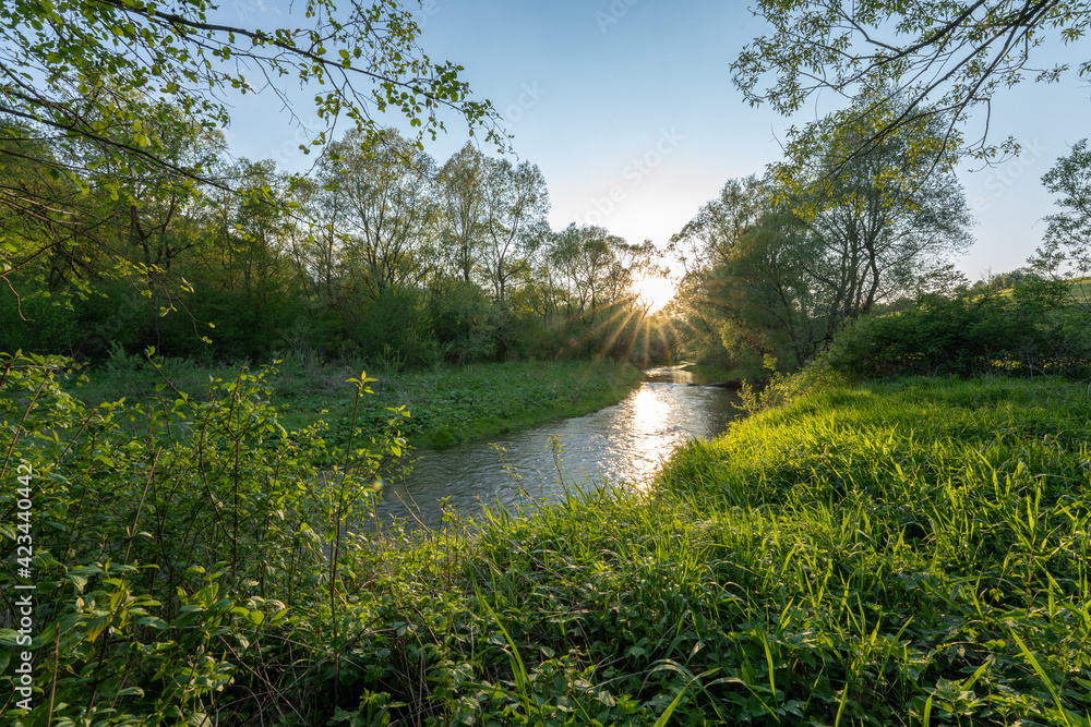 Fototapeta premium view on Wiar river in Przemyskie Foothills, Poland