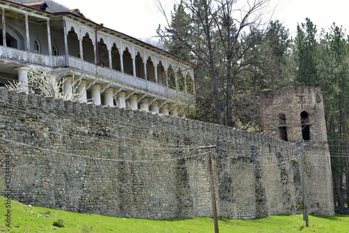 Castle of the Ksani Eristavs in the South Caucasus photo