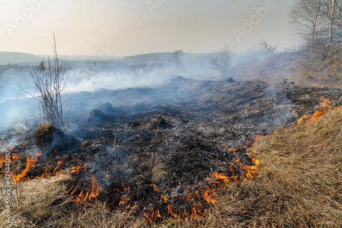 Fire was caused by burning dry grass near village Strilky and Svirzh, Lvivska region, about 40 km from Lviv. © PhotoStoker