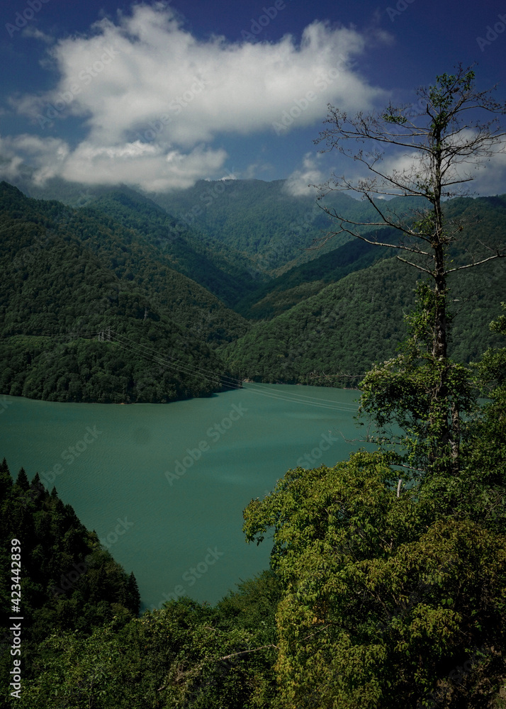 Dam lake and surrounding dense forests in Georgia