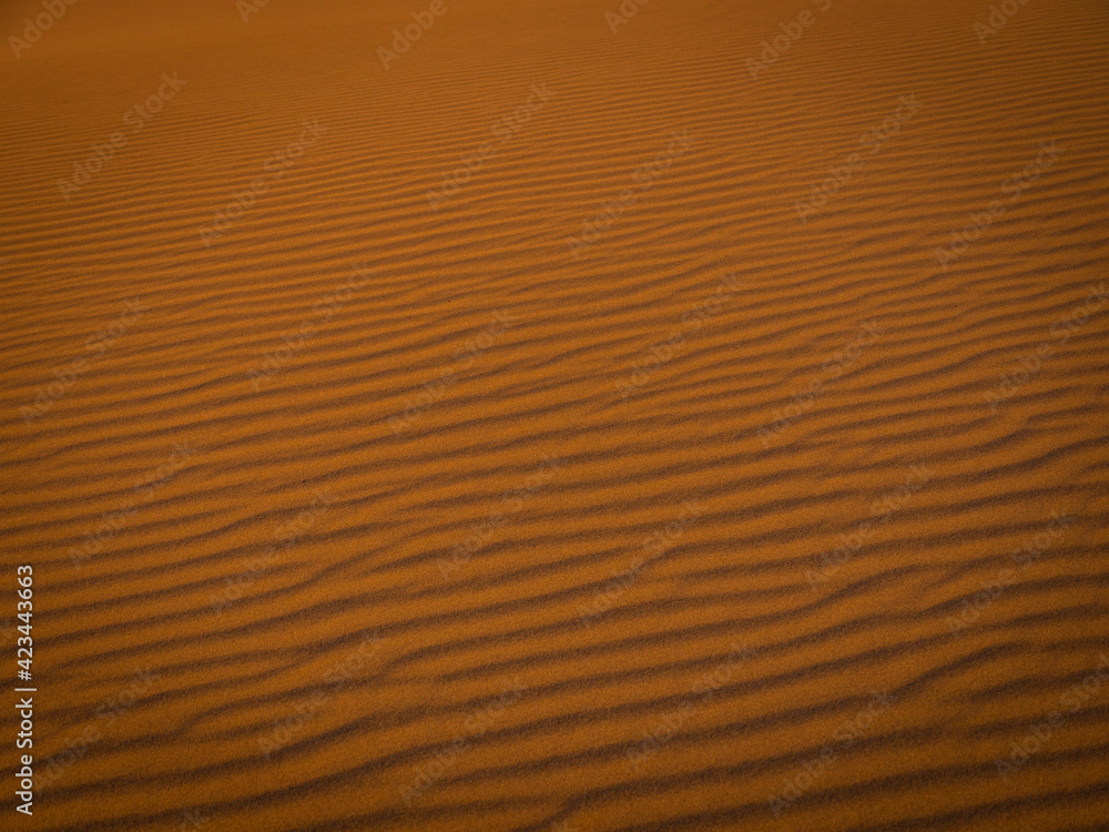 sand dune texture sand dune texture