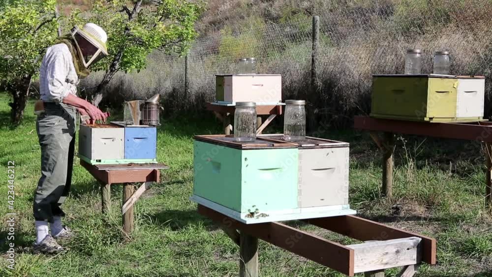 Beekeeper Apiary Honey Agricultural Occupation Beekeeper Apiary Honey Agricultural Occupation