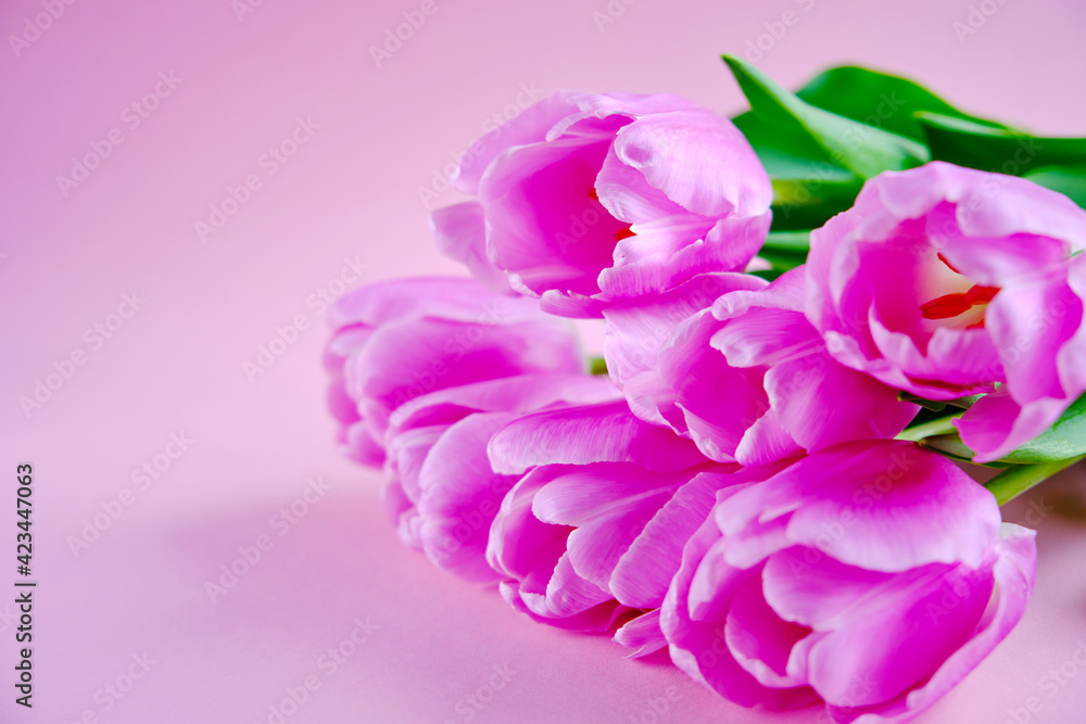 A bouquet of pink roses is on the table with a pink feminine background