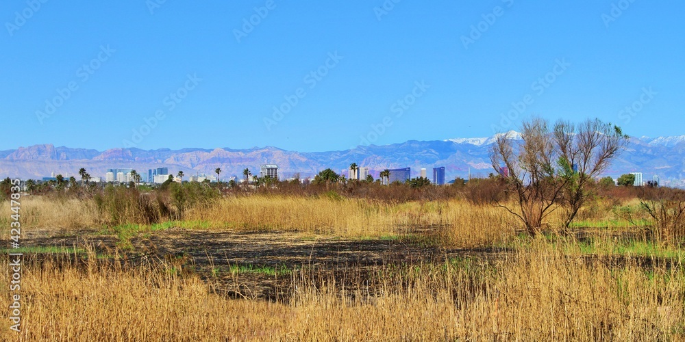 Las Vegas Strip view