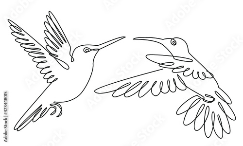 Two hummingbirds are flying. Birds in a modern one line style. Solid line, outline for decor, posters, stickers, logo. Vector illustration. photo