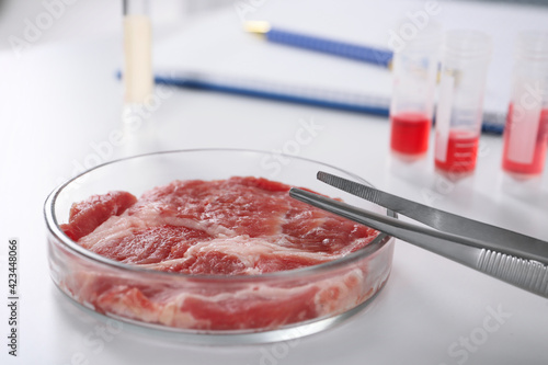 Petri dish with piece of raw cultured meat and tweezers on white table in laboratory, closeup