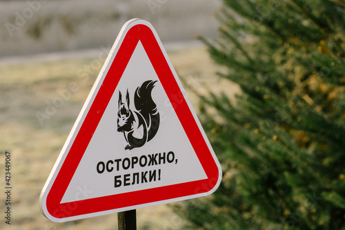 A warning sign with a red frame in the shape of a triangle with the image of a squirrel with a nut, on which the text in Russian is - Caution squirrels. Road sign in the park. photo