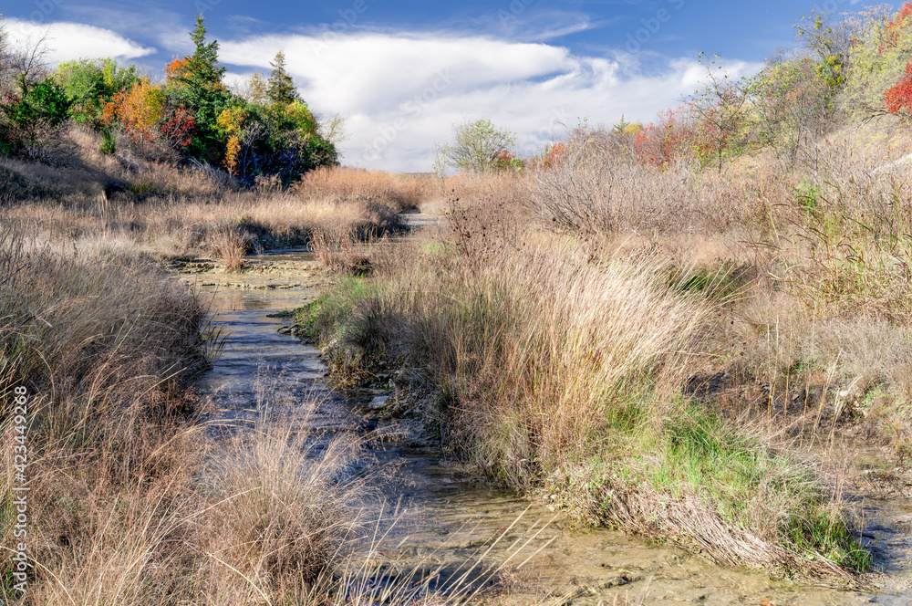 Small stream through low-lying creek bed surrounded by tall brown grass and trees dressed in early Fall colors