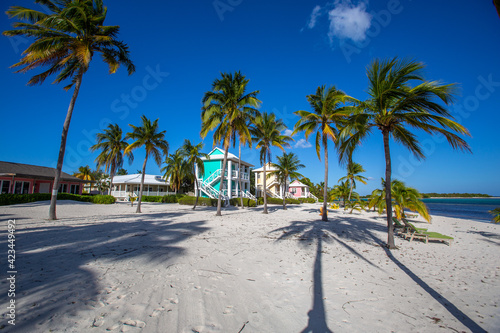 Tropical white sand beach with coco palms and the turquoise sea on Caribbean island. Pastel color houses pink, green, blue. Little Cayman, Cayman Islands