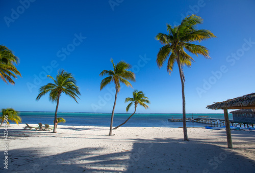 Tropical white sand beach with coco palms and the turquoise sea on Caribbean island. Little Cayman, Cayman Islands 