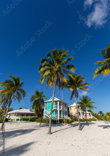 Tropical white sand beach with coco palms and the turquoise sea on Caribbean island.  Pastel color houses pink  green  blue.  Little Cayman  Cayman Islands