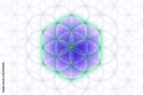 Sacred geometry, seed of life. Vector background.