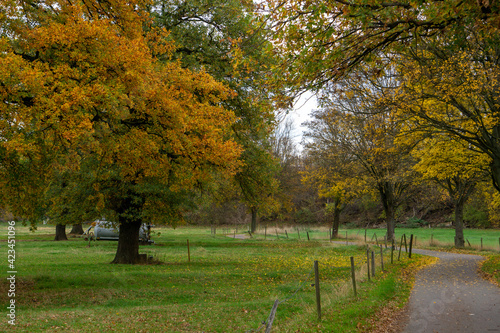 Herbstlicher Fahrradweg am Feld.