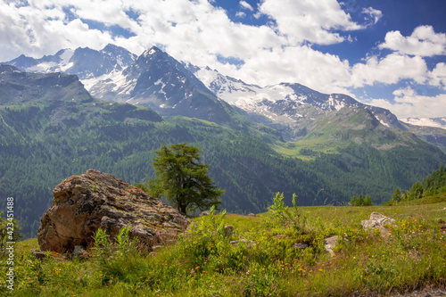 Panorama lungo il sentiero che conduce al "Rifugio degli Angeli". Valgrisenche. Valle d'Aosta. Italia