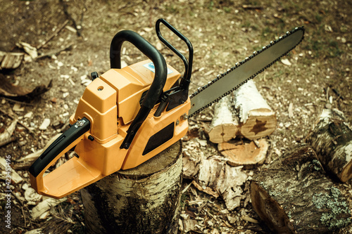 Wallpaper Mural An orange chainsaw stands on a wooden stump, next to the sawn parts of the tree Torontodigital.ca