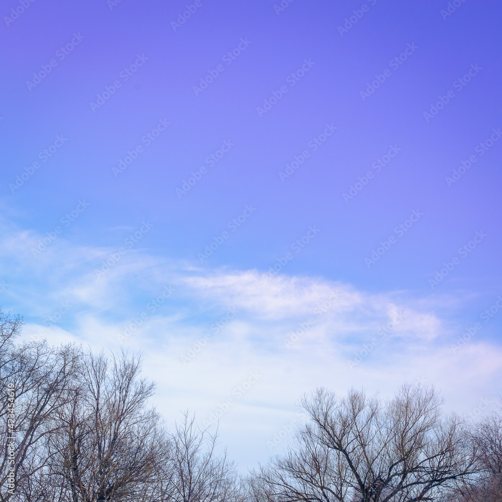 Blue sky with clouds and treetops. Blue sky with clouds and treetops.