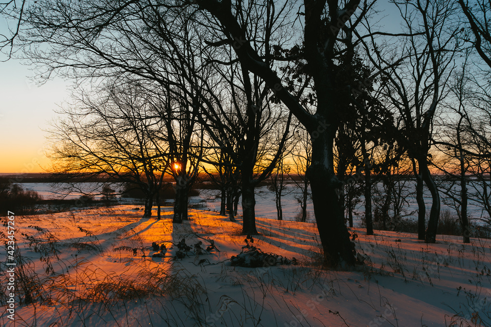 Naklejka premium sunset on the river