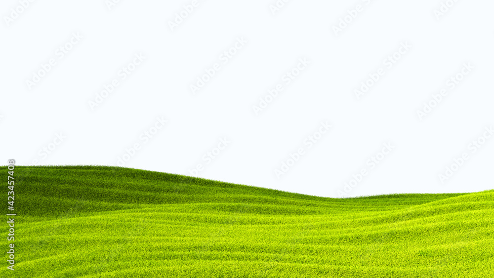 green field isolated against a white background - obrazy, fototapety, plakaty 