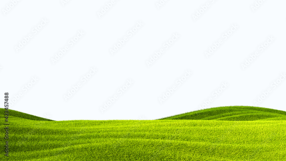 green field isolated against a white background green field isolated against a white background