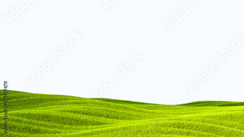 green field isolated against a white background