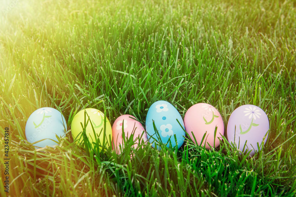 Fototapeta premium easter eggs in grass