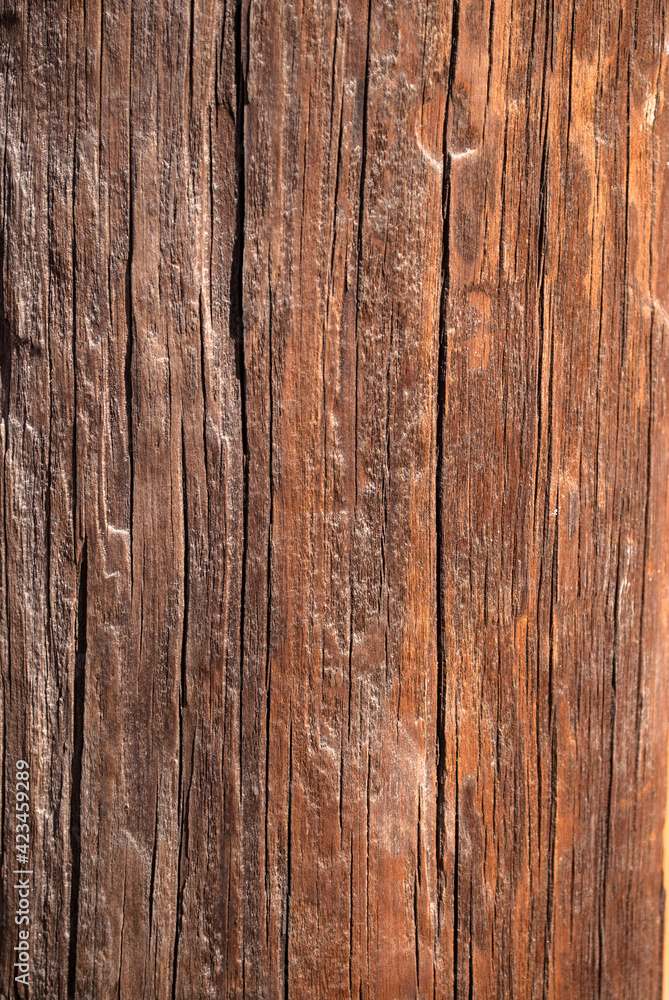 textura de madera con nudos fondo de pantalla textura de madera con nudos fondo de pantalla