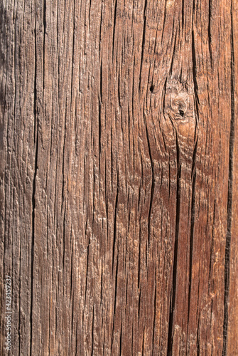 textura de madera con nudos fondo de pantalla