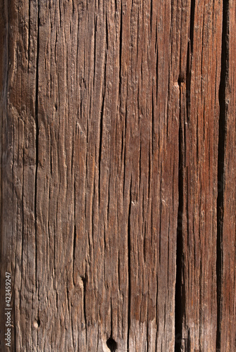 textura de madera con nudos fondo de pantalla