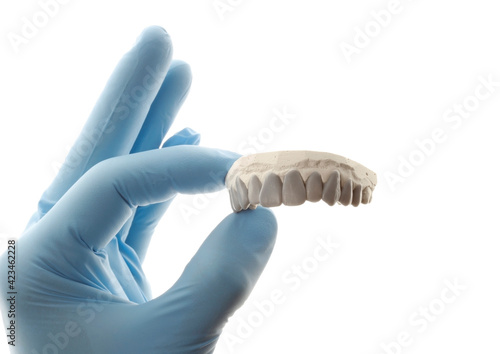 dental model with wax teeth on white background